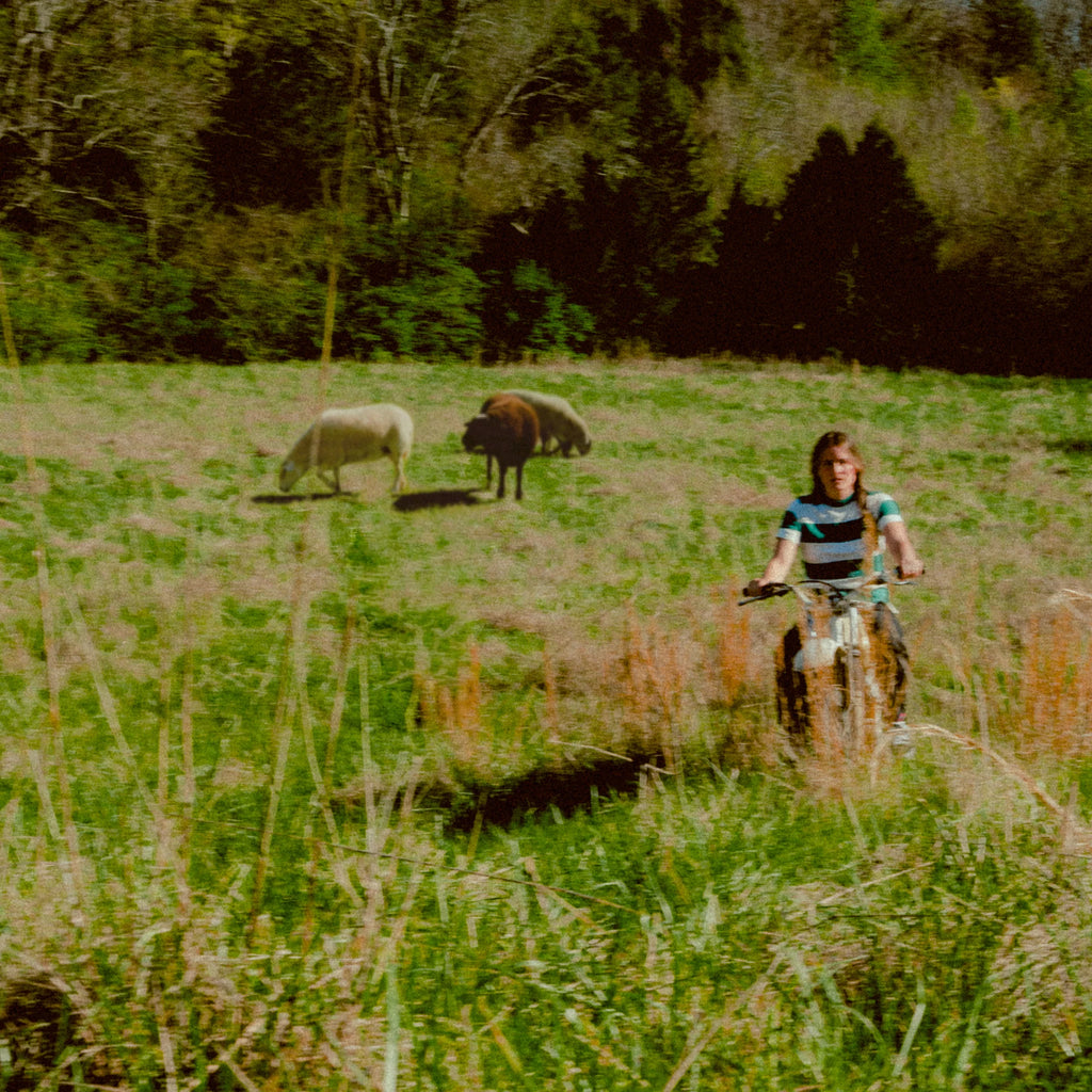 Stagediver Vinyl (Preorder)