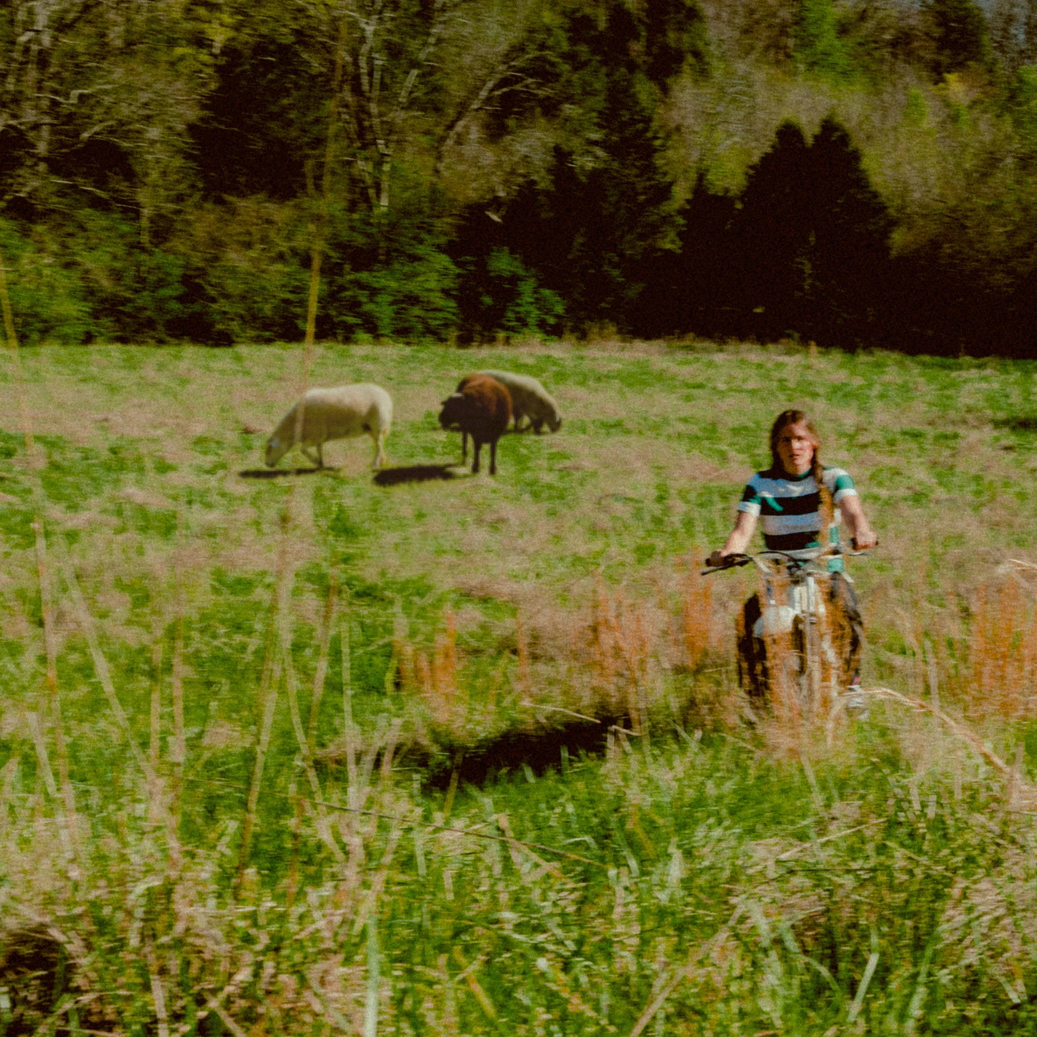 Stagediver Vinyl (Preorder)